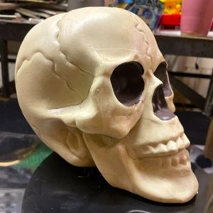 Very Detailed Plastic Skull Halloween decorations